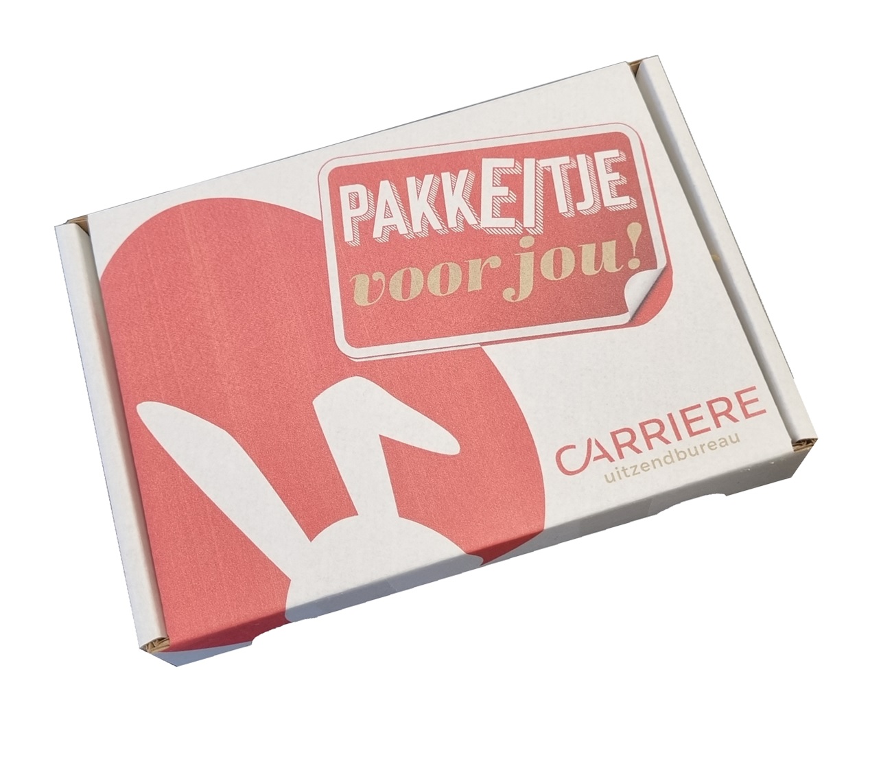 https://frezon.nl/media/catalog/product/c/a/carriere_verzendoosje_pasen_frezon_chocolade_paaseitjes_op_nestje-schuin.jpg