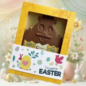 Chocolade Paaskuiken 