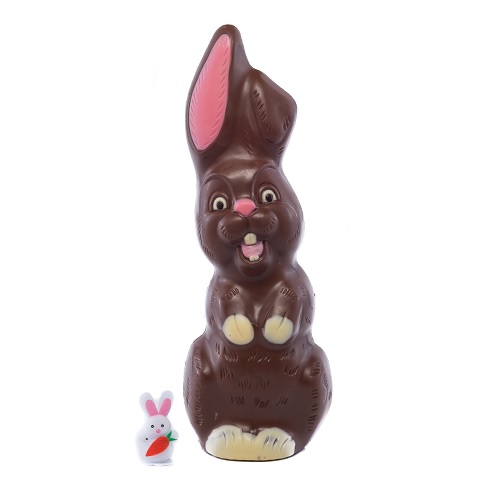 https://frezon.nl/media/catalog/product/p/a/paashaas-36cm-500gram-frezon-chocolade.jpg